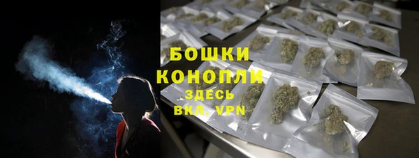 прущие крисы Гвардейск