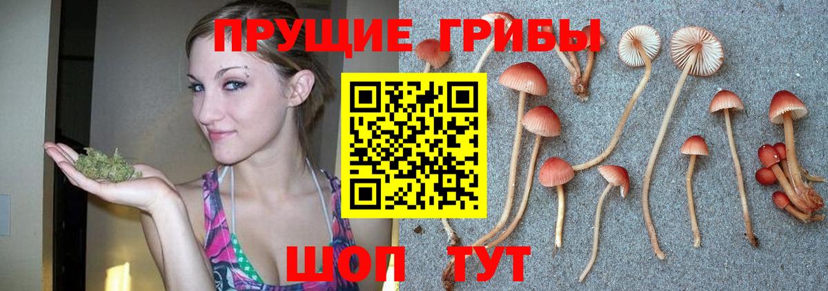 Псилоцибиновые грибы прущие грибы Энгельс